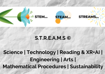 S.T.R.E.A.M.S. - badanie projektowe grafika