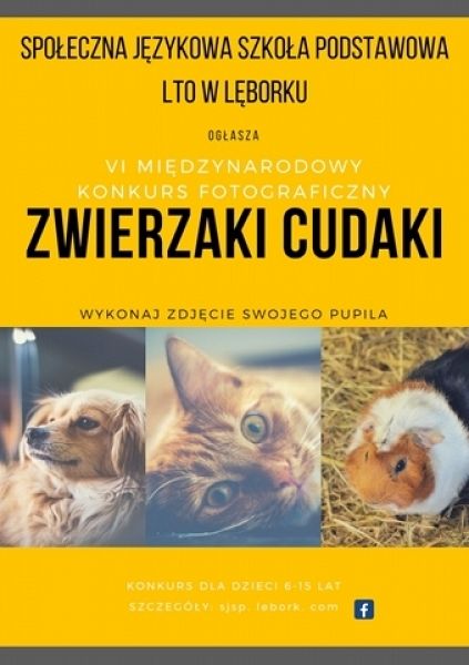  Grafika #0: Regulamin VI Międzynarodowego Konkursu Fotograficznego Zwierzaki - Cudaki grafika