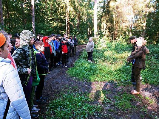 Wycieczka do lasu - Sprzątanie Świata