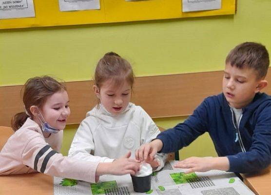 Czego potrzebują rośliny do życia? Hodowla rzeżuchy ciekawskich pierwszaków - fotorelacja z zajęć przyrodniczych klasy 1b grafika