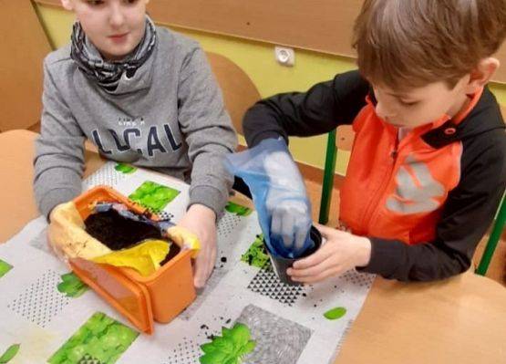 Czego potrzebują rośliny do życia? Hodowla rzeżuchy ciekawskich pierwszaków - fotorelacja z zajęć przyrodniczych klasy 1b grafika