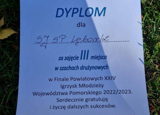 Koło szachowe grafika