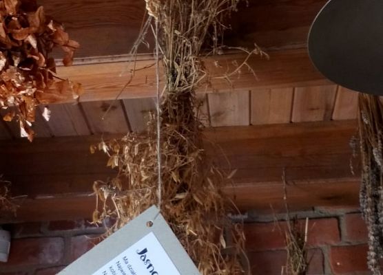 Lekcja muzealna w Baszcie Nr 27 grafika