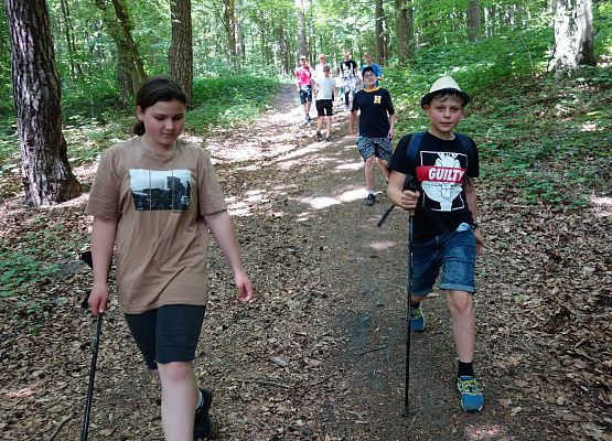 Turystyka aktywna - podchody grafika