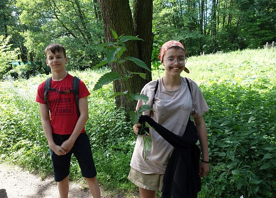 Turystyka aktywna - podchody grafika