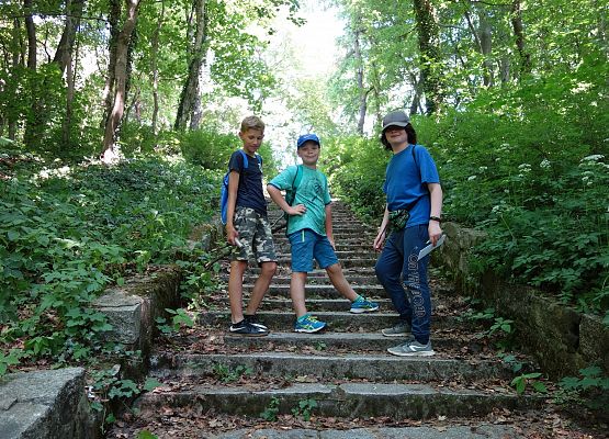 Turystyka aktywna - podchody grafika