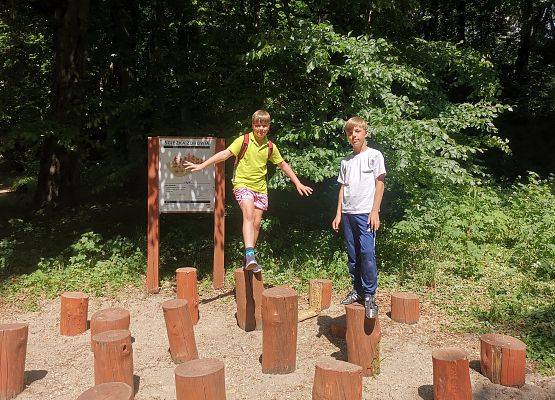 Turystyka aktywna - podchody grafika