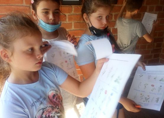 "Zioła, zielarstwo" - lekcja muzealna klasy drugiej (fotorelacja) grafika