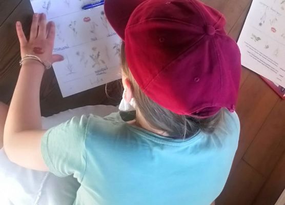 "Zioła, zielarstwo" - lekcja muzealna klasy drugiej (fotorelacja) grafika