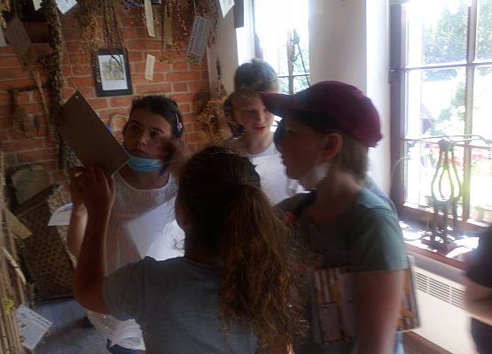 "Zioła, zielarstwo" - lekcja muzealna klasy drugiej (fotorelacja) grafika