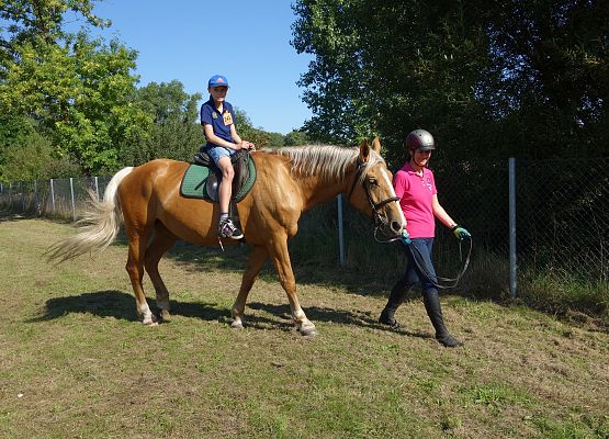 XII Mini Olimpiada Osób Niepełnosprawnych w Charbrowie grafika