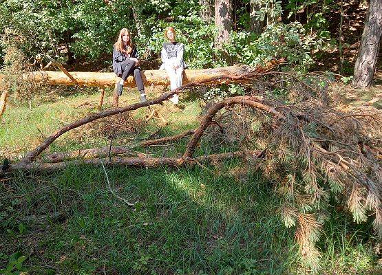 Wycieczka integracyjna klas 8 grafika