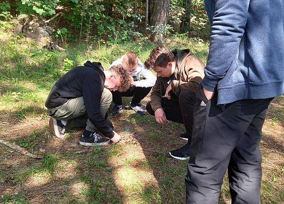 Wycieczka integracyjna klas 8 grafika