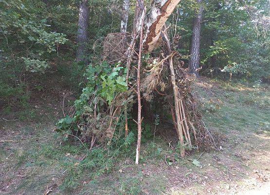 Wycieczka integracyjna klas 8 grafika