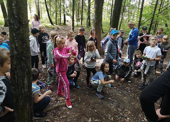 Wycieczka kaszubska klasy do Pałacu pod Bocianim Gniazdem w Runowie grafika