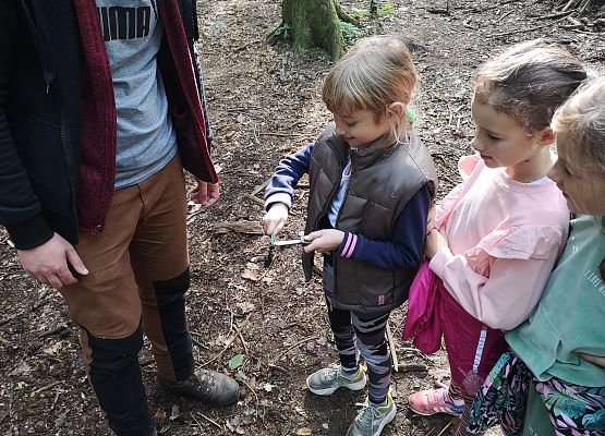 Wycieczka kaszubska klasy do Pałacu pod Bocianim Gniazdem w Runowie grafika