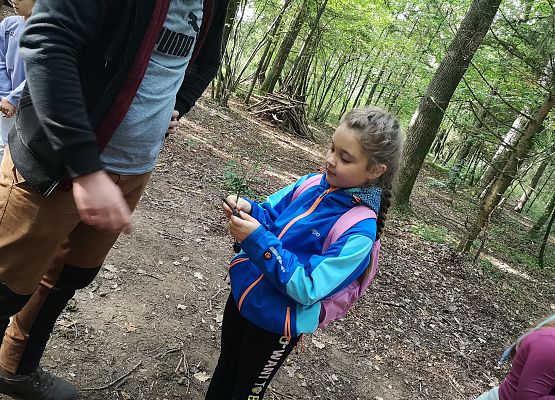 Wycieczka kaszubska klasy do Pałacu pod Bocianim Gniazdem w Runowie grafika