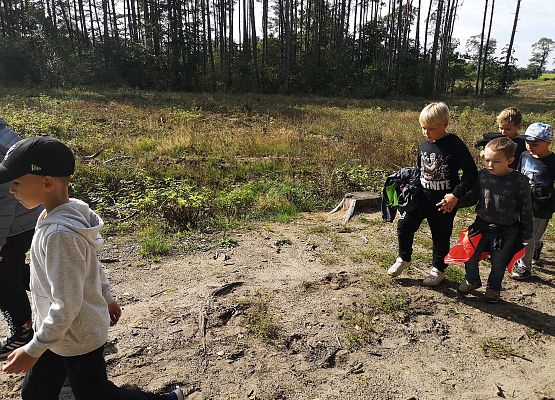 Wycieczka kaszubska klasy do Pałacu pod Bocianim Gniazdem w Runowie grafika