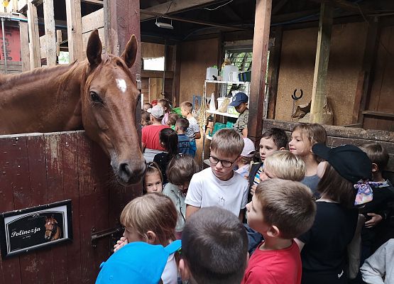 Wycieczka kaszubska klasy do Pałacu pod Bocianim Gniazdem w Runowie grafika
