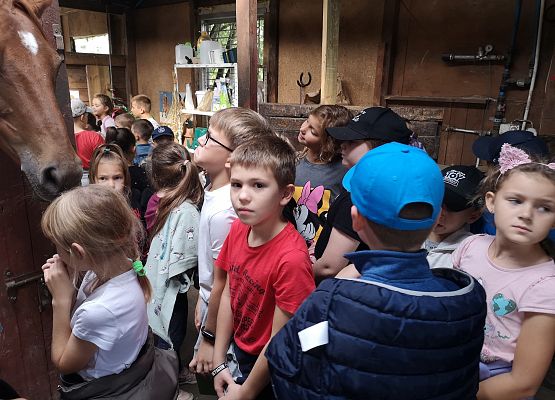 Wycieczka kaszubska klasy do Pałacu pod Bocianim Gniazdem w Runowie grafika