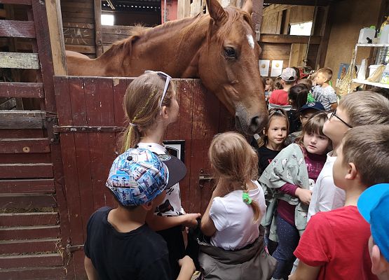 Wycieczka kaszubska klasy do Pałacu pod Bocianim Gniazdem w Runowie grafika
