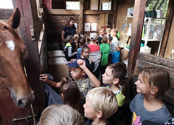 Wycieczka kaszubska klasy do Pałacu pod Bocianim Gniazdem w Runowie grafika
