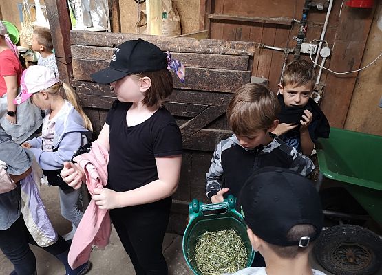 Wycieczka kaszubska klasy do Pałacu pod Bocianim Gniazdem w Runowie grafika