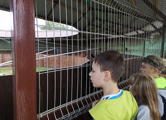 Wycieczka kaszubska klasy do Pałacu pod Bocianim Gniazdem w Runowie grafika