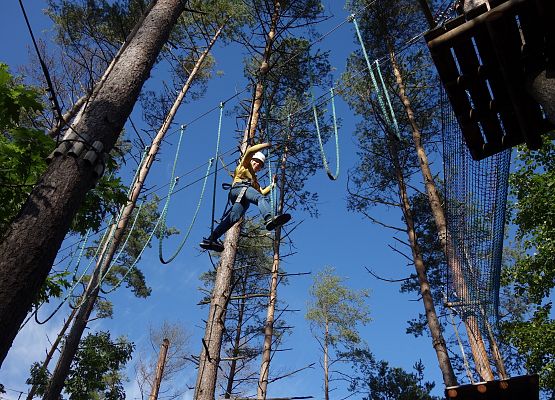 Wycieczka klas 4a, 7a i 7b grafika