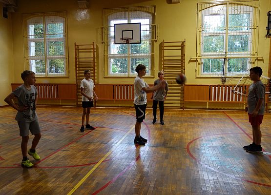 Sparing koszykarski grafika