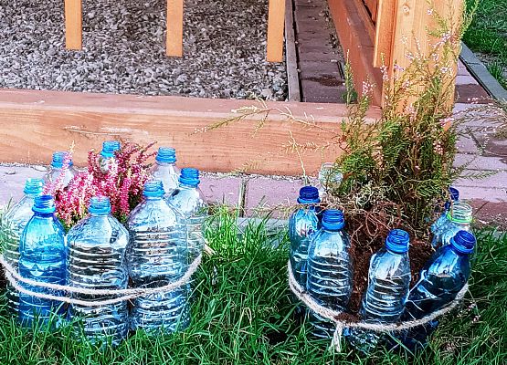 Sprzątanie Świata 2021 grafika