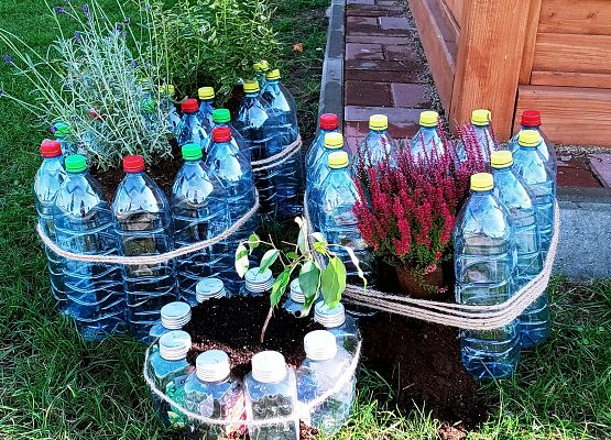 Sprzątanie Świata 2021 grafika