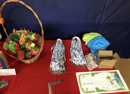 Podsumowanie Akcji Ekologicznej klas 1-3 grafika