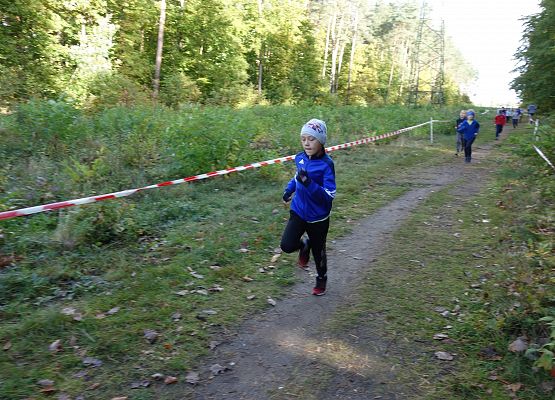 ​ Indywidualne biegi przełajowe o puchar Grand-Prix Lęborka – bieg drugi grafika