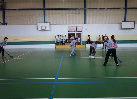 Miejskie Igrzyska Młodzieży Szkolnej w Unihokeju Dziewcząt i Chłopców grafika