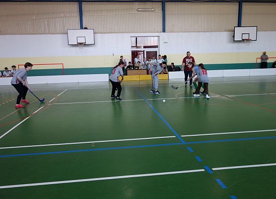 Miejskie Igrzyska Młodzieży Szkolnej w Unihokeju Dziewcząt i Chłopców grafika