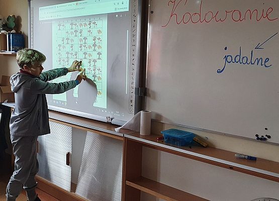 Akcja Codeweek 2021 - fotorelacja grafika