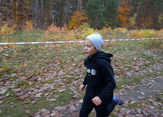 Indywidualne Biegi Przełajowe o Puchar Grand-Prix Lęborka – bieg trzeci grafika