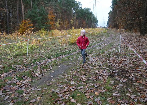 Indywidualne Biegi Przełajowe o Puchar Grand-Prix Lęborka – bieg trzeci grafika