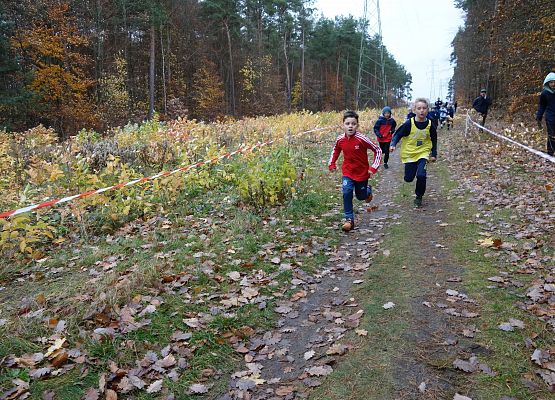 Indywidualne Biegi Przełajowe o Puchar Grand-Prix Lęborka – bieg trzeci grafika