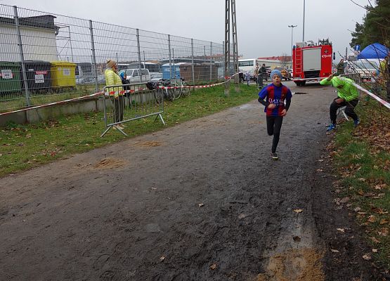 Indywidualne Biegi Przełajowe o Puchar Grand-Prix Lęborka – bieg trzeci grafika