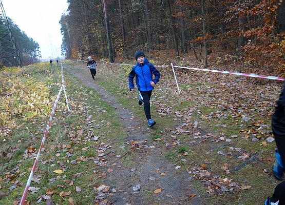 Indywidualne Biegi Przełajowe o Puchar Grand-Prix Lęborka – bieg trzeci grafika