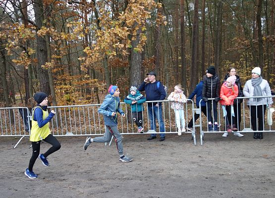 Indywidualne Biegi Przełajowe o Puchar Grand-Prix Lęborka – bieg trzeci grafika