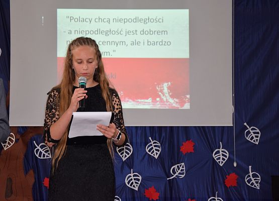 Narodowe Święto Niepodległości grafika