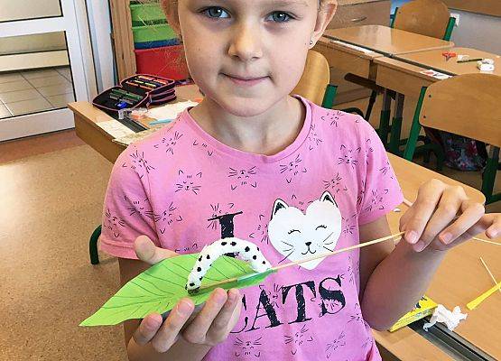 "Gąsienice na listku" grafika