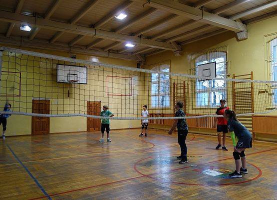 Sparing siatkówki grafika