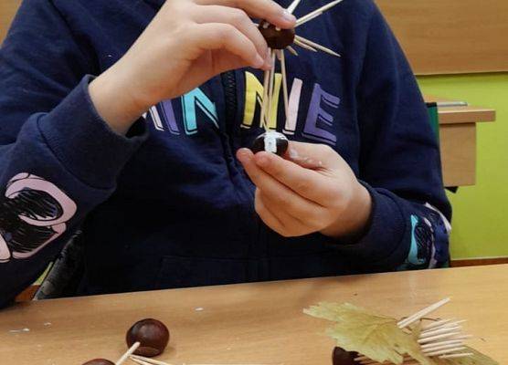 Kasztanowe cudaki klasy 2b grafika