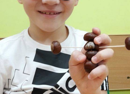 Kasztanowe cudaki klasy 2b grafika