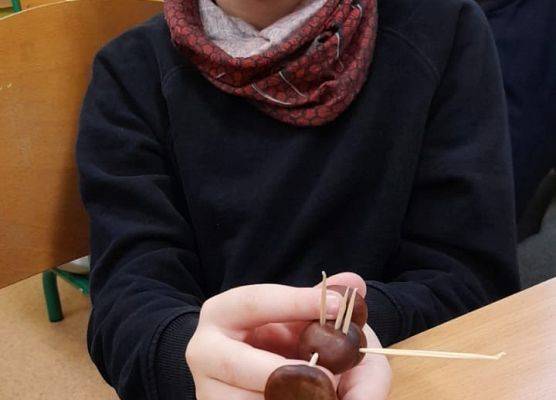 Kasztanowe cudaki klasy 2b grafika