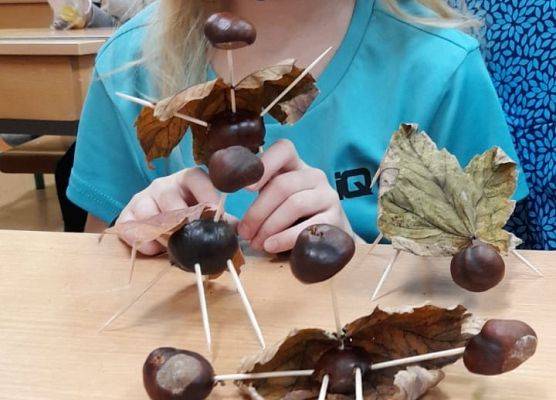 Kasztanowe cudaki klasy 2b grafika